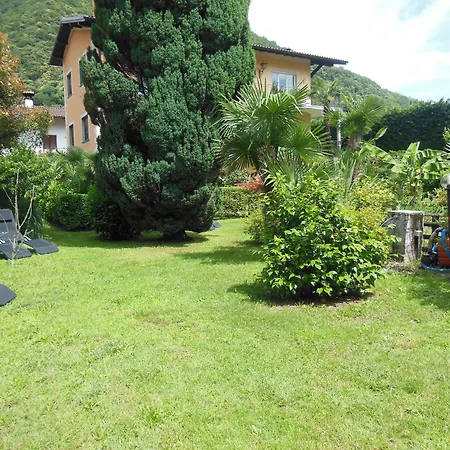 Banana Каннобио