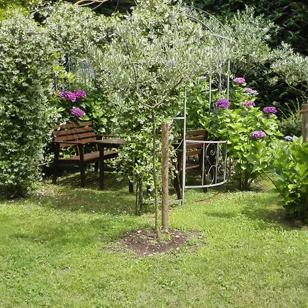 Banana Апарт-отель *