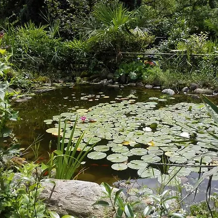 Banana Апарт-отель