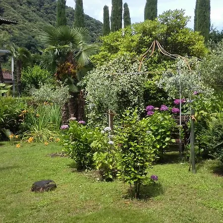 شقة فندقية Banana *