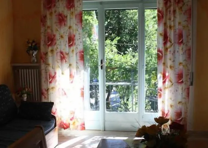 Banana * 카노비오