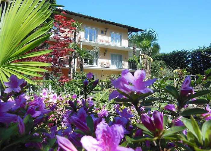 Banana * 카노비오