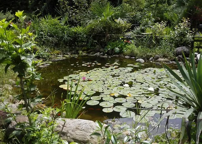 Banana Апарт-отель